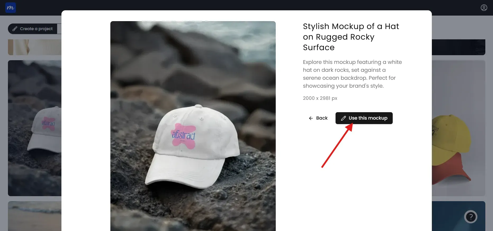 click on use this mockup