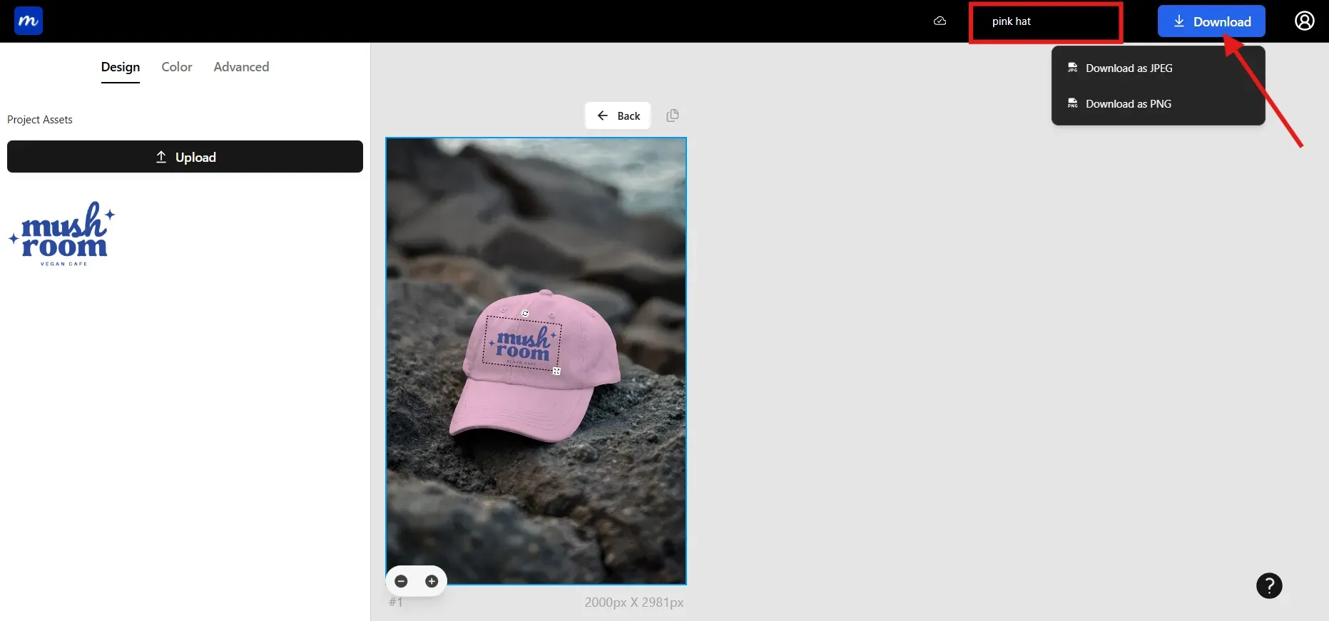 download your hat mockup