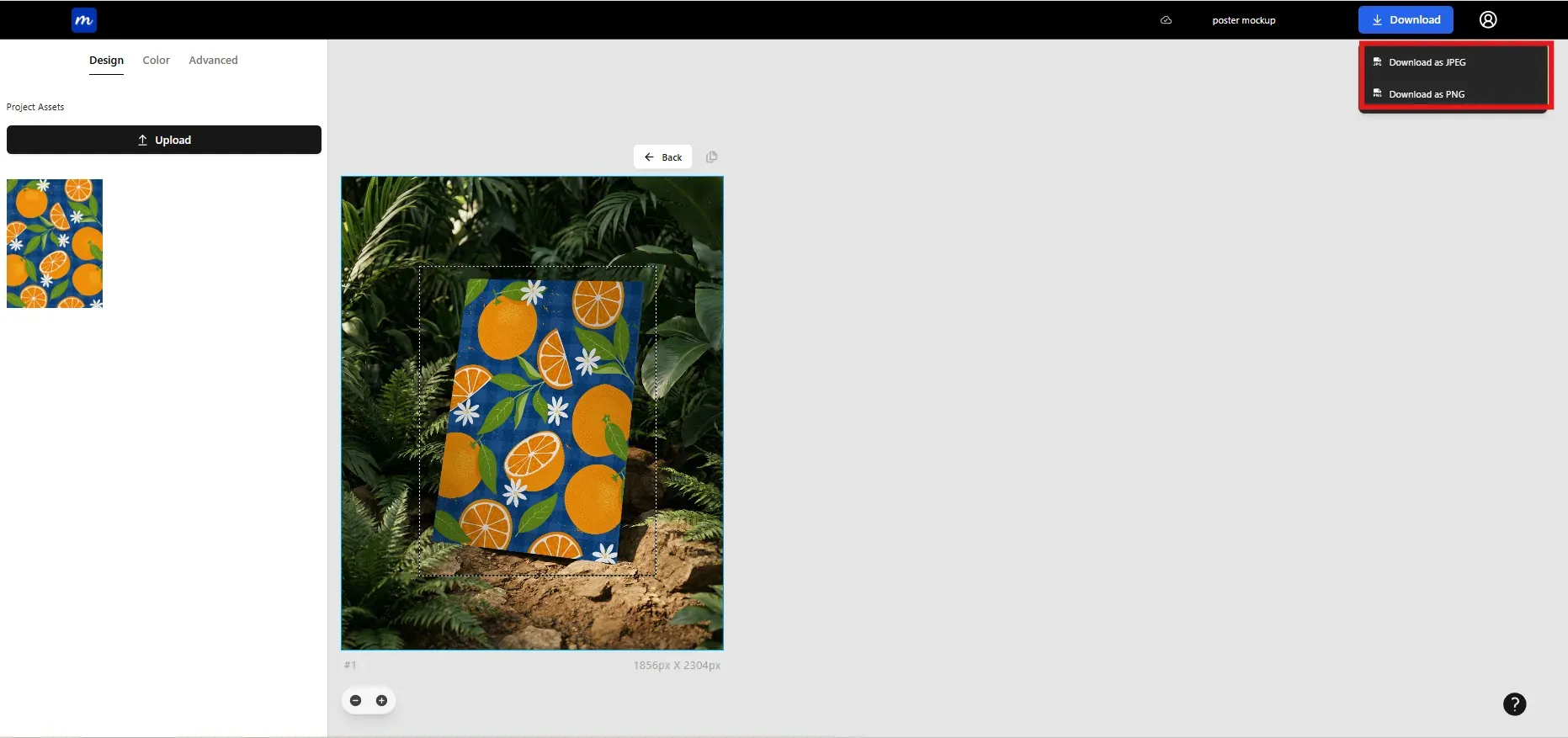 Download final poster mockup