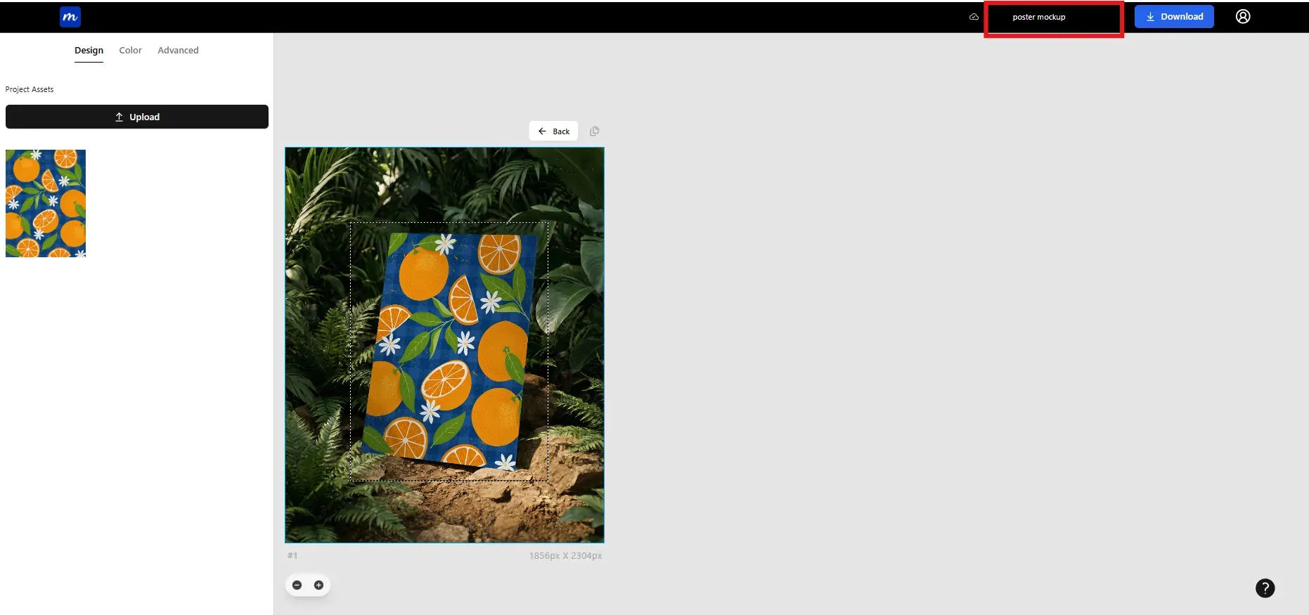 Give a name to your poster mockup on Modor